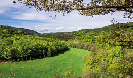 AKZENT AKTIV & VITAL HOTEL THÜRINGEN Schmalkalden