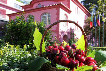 HOTEL QUINTA DA SERRA BIO HOTEL Câmara de Lobos