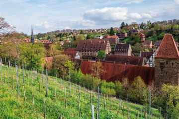 SCHWARZWALDHOTEL - GASTHOF HIRSCH Bad Wildbad